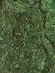 avocado 121-041