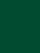 RAL 6005 verde muschio